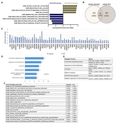 Comparison of pharmacological inhibitors of lysine-specific demethylase 1 in glioblastoma stem cells reveals inhibitor-specific efficacy profiles